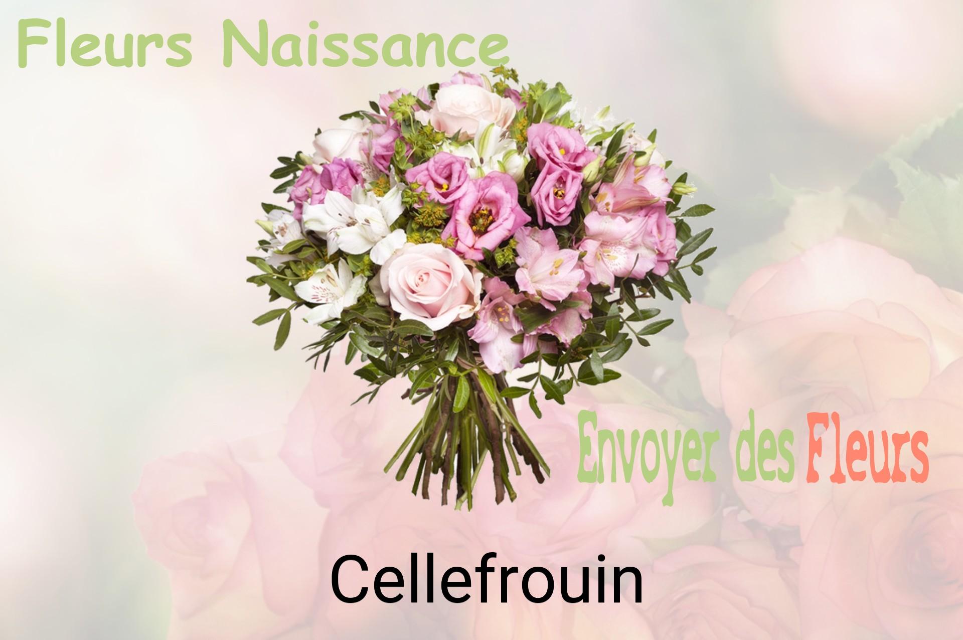 Bouquet de fleurs de naissance livré à Cellefrouin